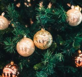 Zoom : Le sapin de noël