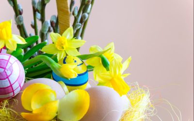 Les petites histoires des plantes : les fêtes de Pâques