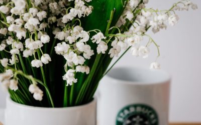 Zoom : le muguet
